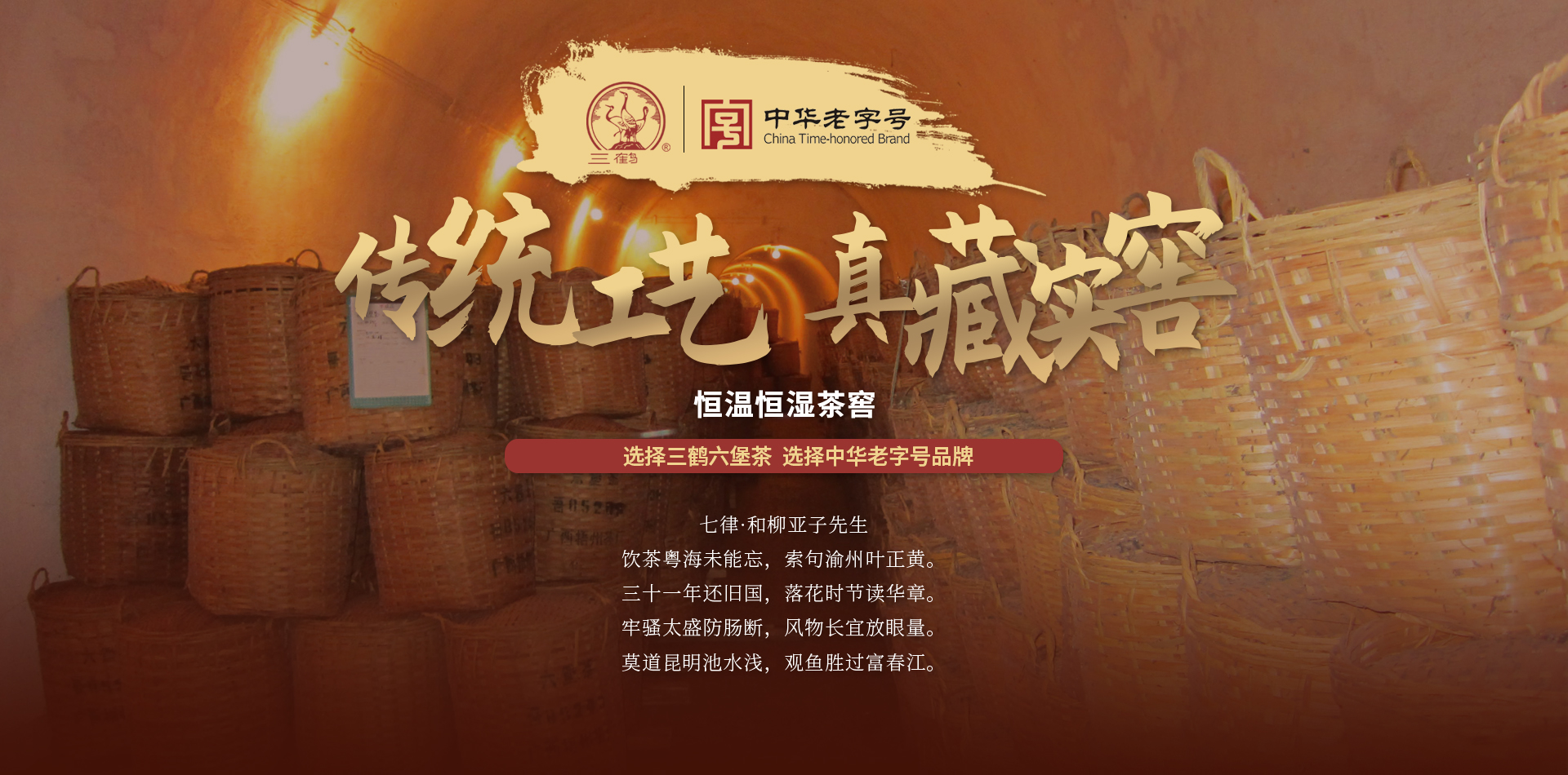 廣西三鶴六堡茶生產(chǎn)廠家